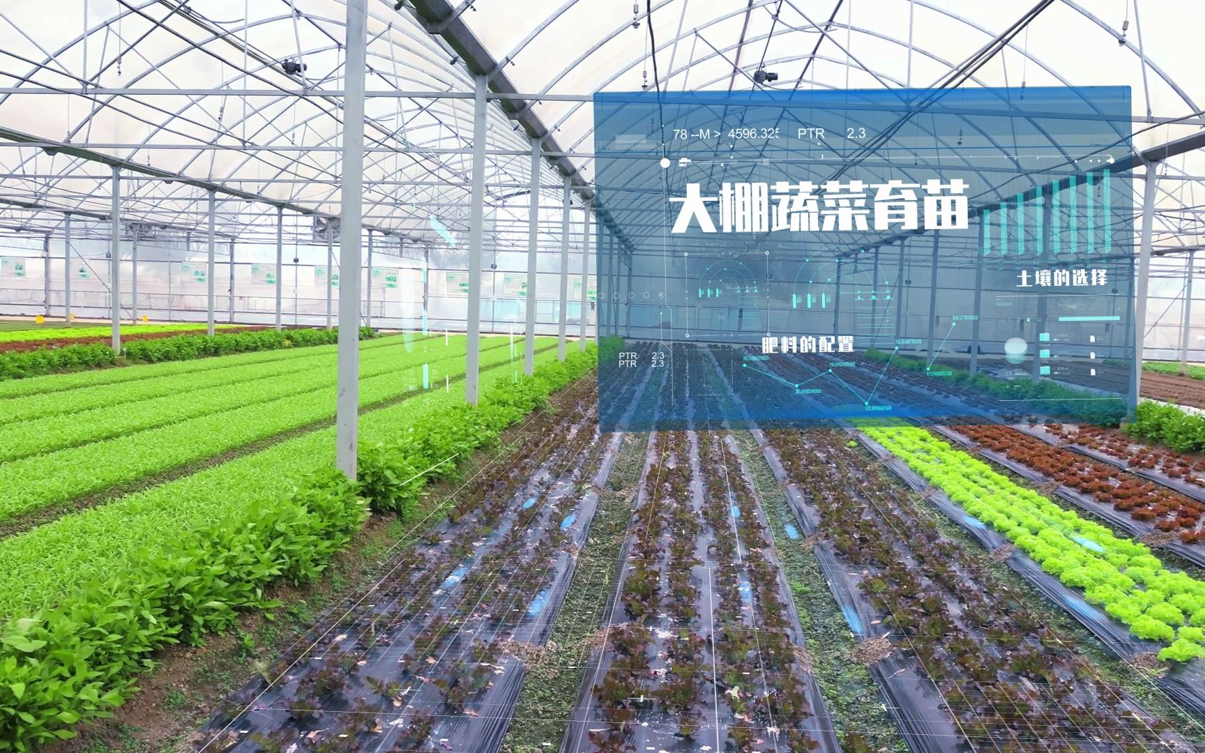 智慧農業(yè)溫棚科技 信息技術在農業(yè)技術開發(fā)中的創(chuàng)新應用