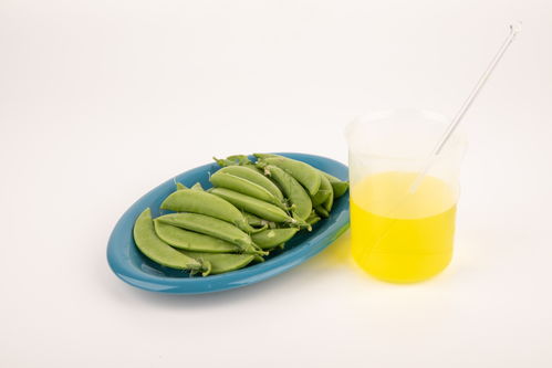 甜碗豆食品安全 農(nóng)業(yè)科技、食品培育與視覺表達的交匯點