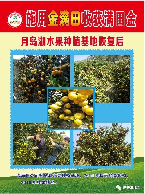 是什么讓這個基地碩果累累？鹿寨柑橘大咖現場授課，誠邀您來參加